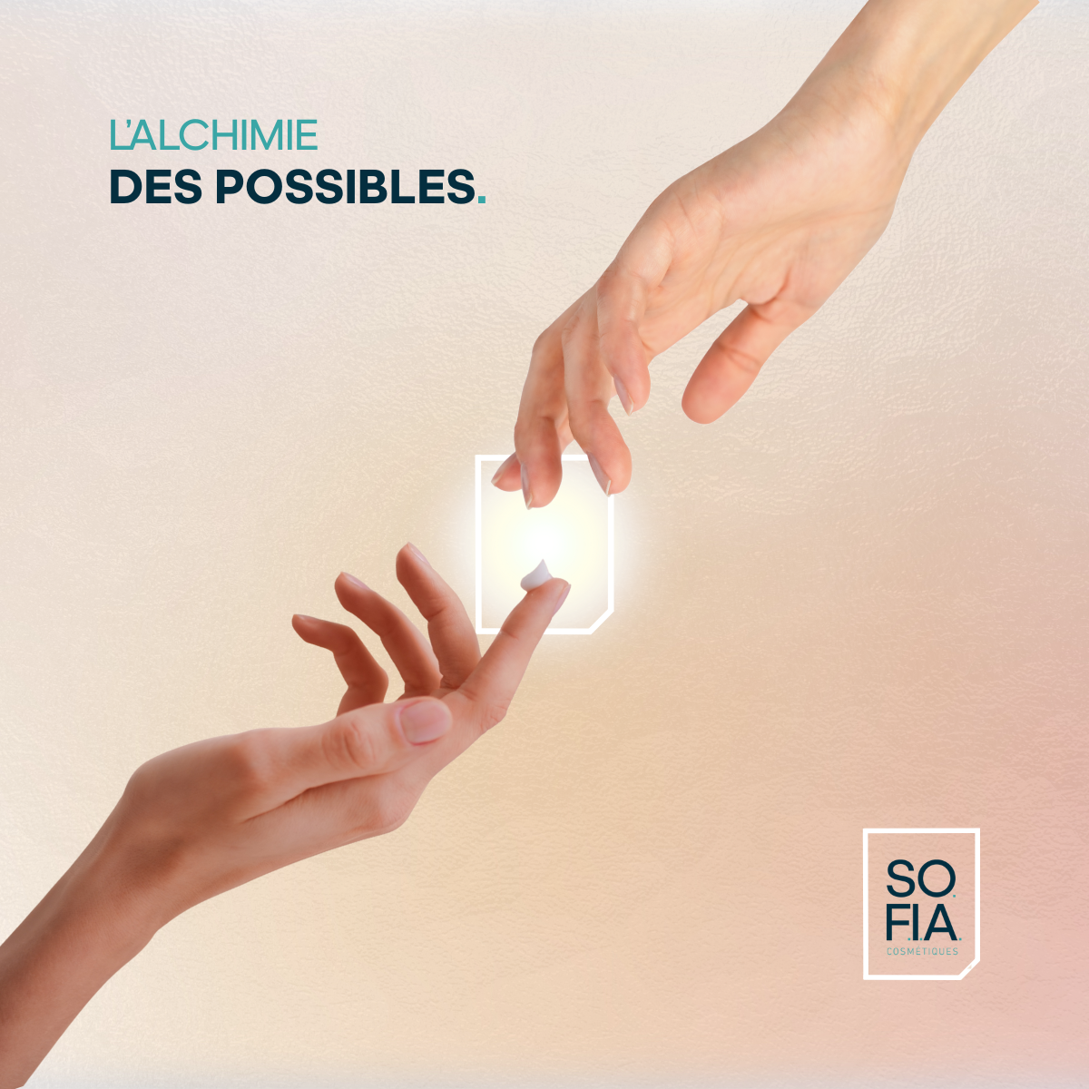 Identité visuelle Sofia Cosmétiques
